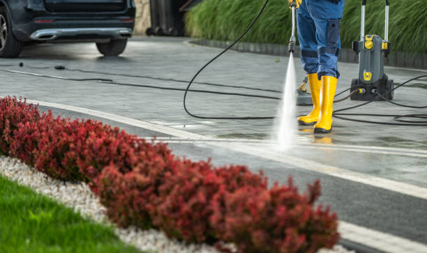 Animal Enclosure Cleaning in Decatur, IL
